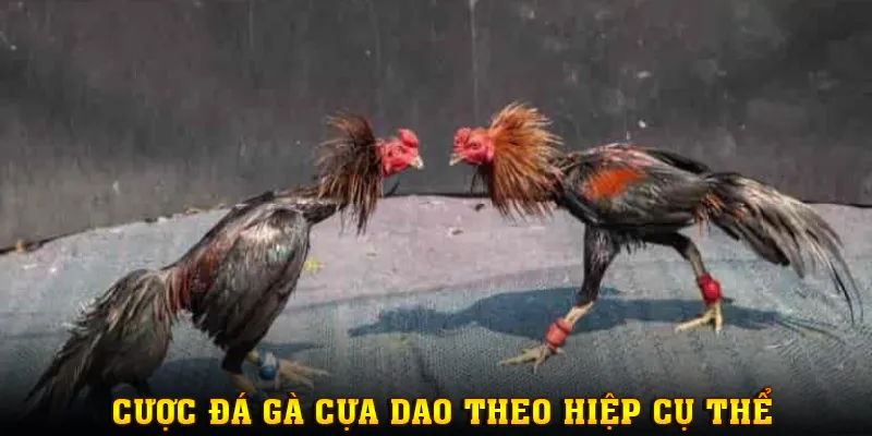 Cược chọi gà theo hiệp để tăng tính biến hóa chiến thuật