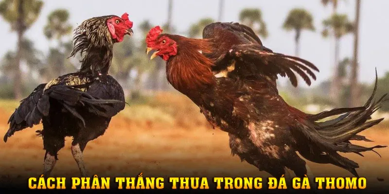 Tìm hiểu về các trường hợp được luận kết quả thắng/ thua/ hòa