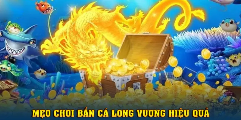 Nên áp dụng mẹo săn thưởng hiệu quả từ người chơi có kinh nghiệm