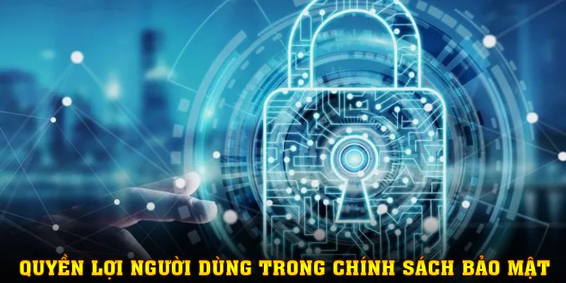 Chấp nhận thỏa thuận người dùng sẽ được hưởng vô số quyền lợi