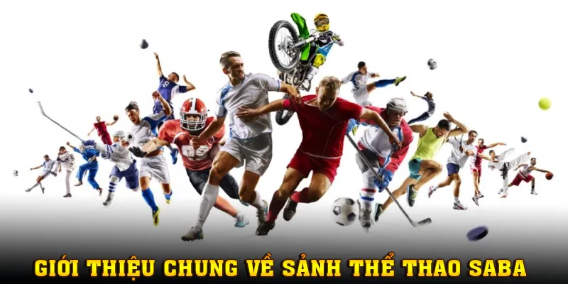 Thông tin giới thiệu tổng quan sảnh Thể Thao SABA